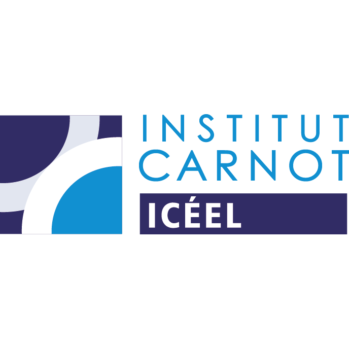 Icéel : iceel.eu